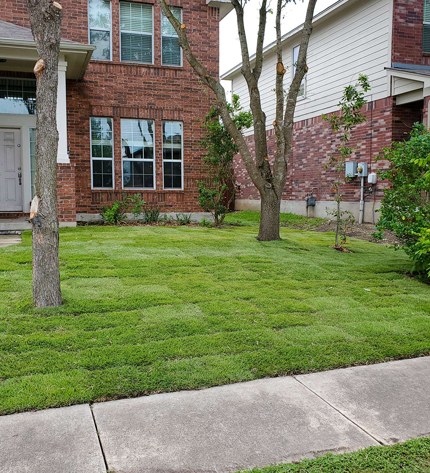 very nicely manicured front lawn in front of a brick house